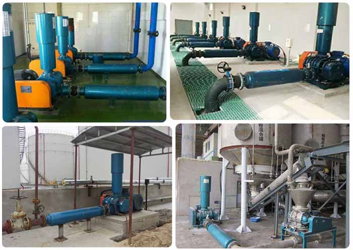 三葉羅茨鼓風(fēng)機應(yīng)用案例