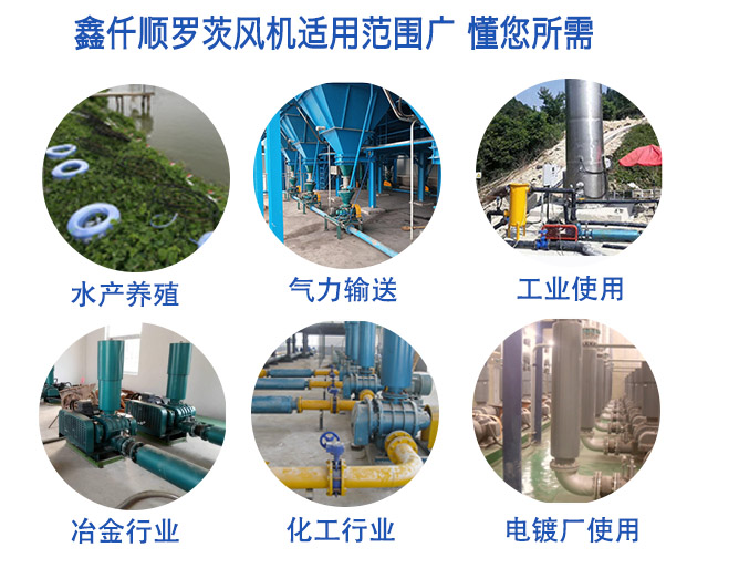 高壓羅茨風(fēng)機(jī)運(yùn)用范圍 高壓羅茨風(fēng)機(jī)(圖5)